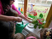 Pozorujeme jak klíčí a rostou semínka